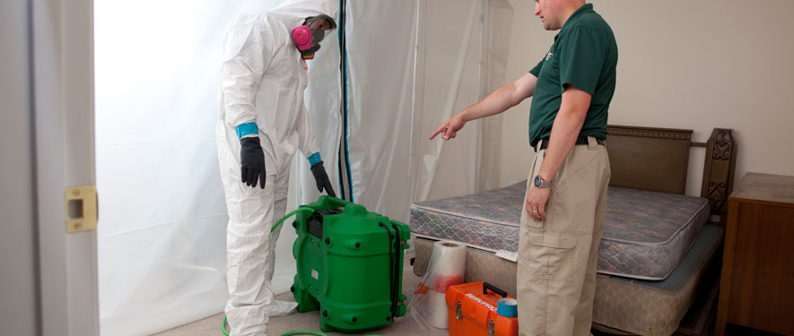 Summerville, SC mold removal process